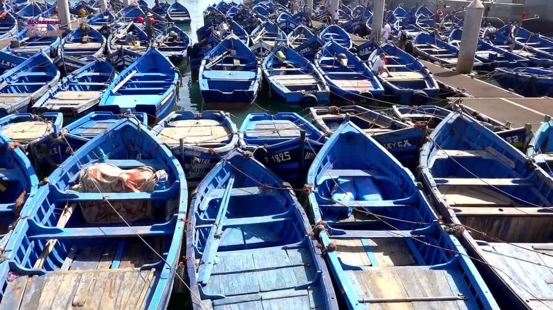 Essaouira Morocco 🐟 😍 مدينة الصويرة 🇲🇦