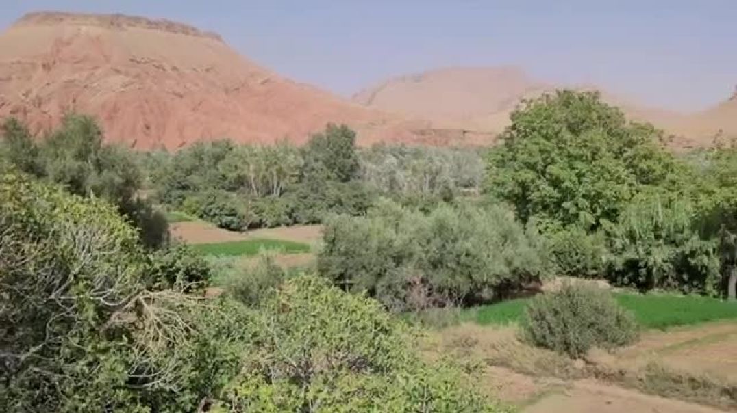 ⁣Wild Life 🦁 🐎 😍 in Mountains in Morocco 🇲🇦