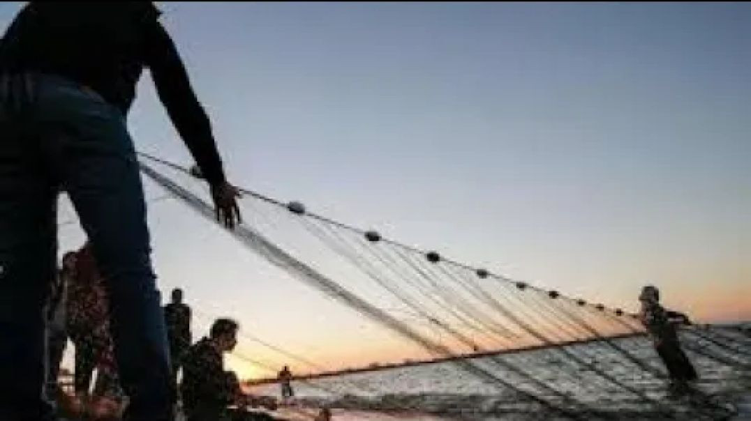 What you need to weave fishing nets ما تحتاجه خياطة شباك الصيد