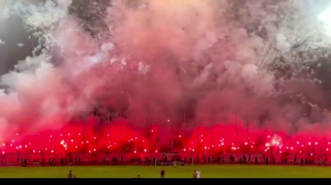 Ultras Shark Family ♥️💙