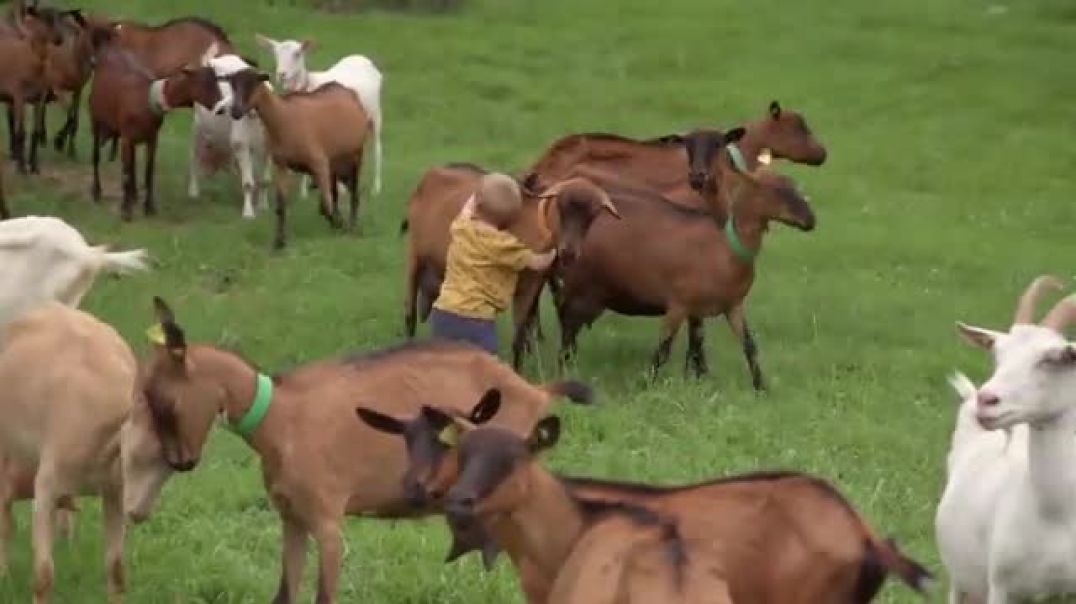 Agriculteurs en France : entre passion et colère