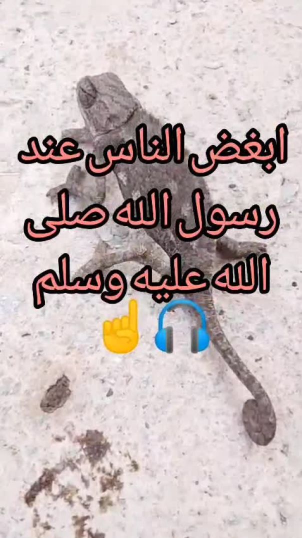 قال رسول الله صلى الله عليه وسلم