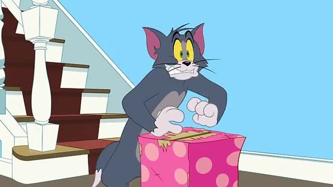 Tom _ Jerry _ The Mysterious Box 🎁 _ _WB Kids