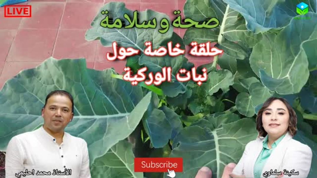 فوائد الخضرة أو ما تسمى في مدينة أرفود الورگية