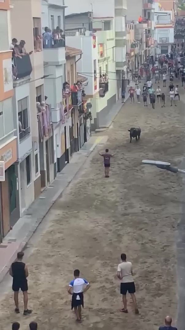 Toro de reguelga San Roc la vilaNotifications javascript:void(0);vella Castellón agosto 2025(720P_HD