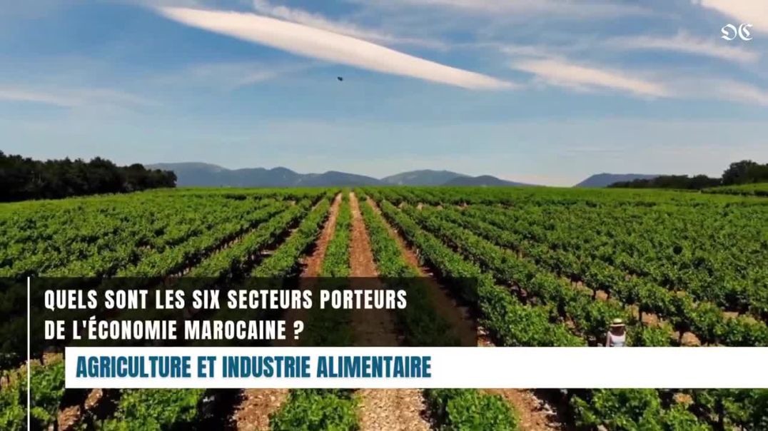 MAROC： quels sont les 6 secteurs porteurs positionnant le pays en leader continental ？