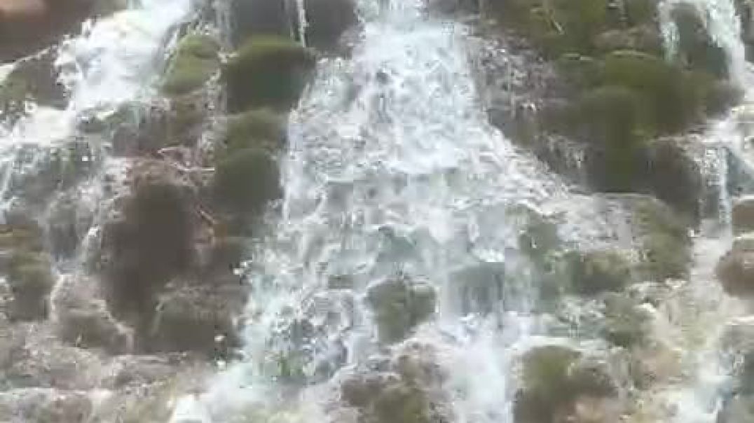 العين تبارك الرحمان
