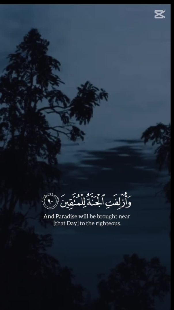 قرآن الكريم راحة للقلوب وتصفية الروح
