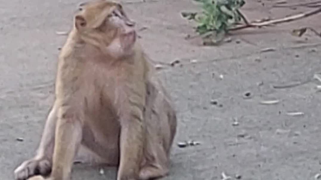 ⁣شلالات أوزود
