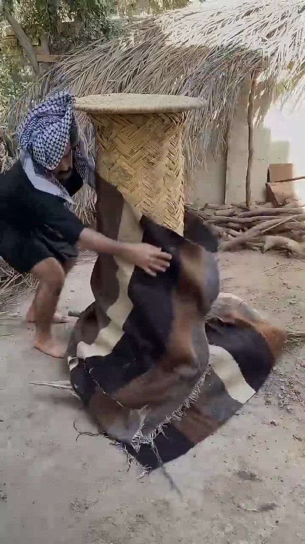 الدبس العراقي الأندر في العالم  🇮🇶(720P_HD)