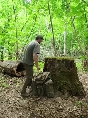 Camping.logs