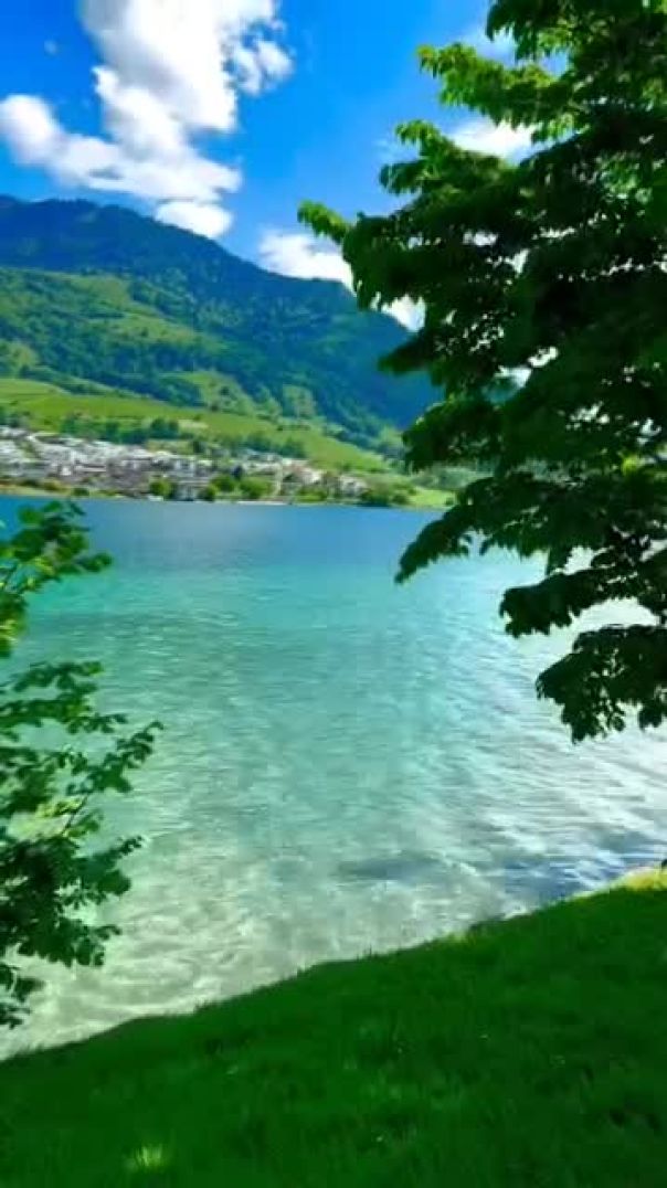 VID-20250910-WA0005