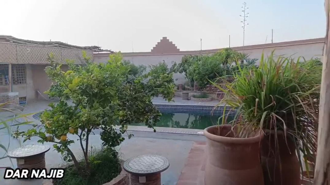 ⁣رياض بنواحي تارودانت يستهل الزيارة 😍