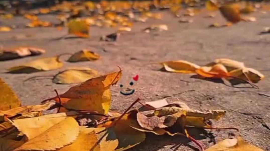 2025-11-18-120424642