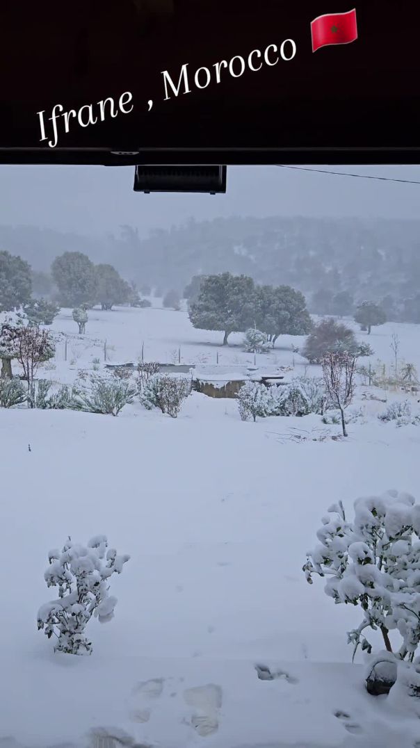 Ifrane ❄️ 😍 🇲🇦