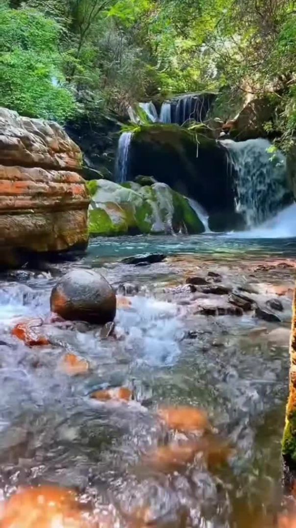 هدوء الطبيعة