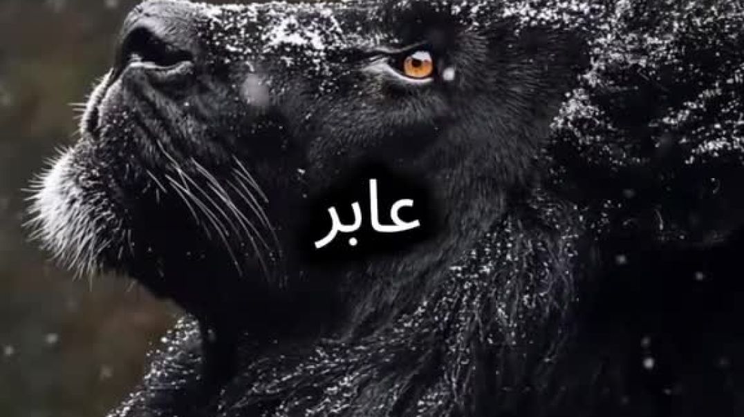 فاش تتكتاشف خبث ديال الصحاب