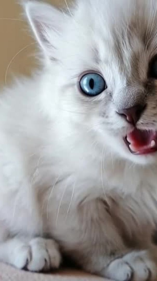 grok_video_2025-12-02-19-48-22