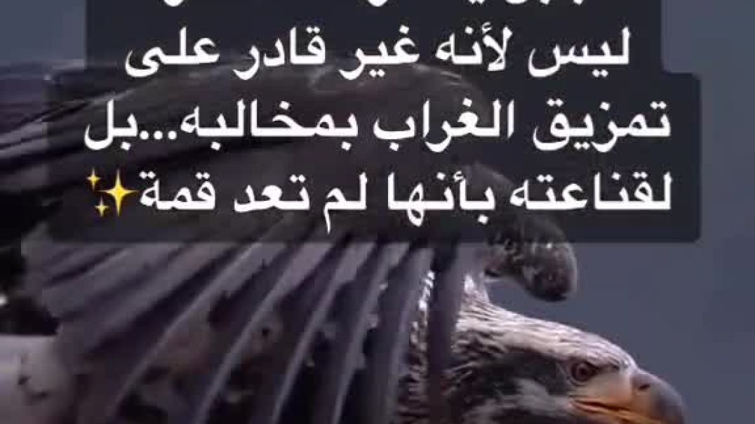 ⁣الثقة في النفس