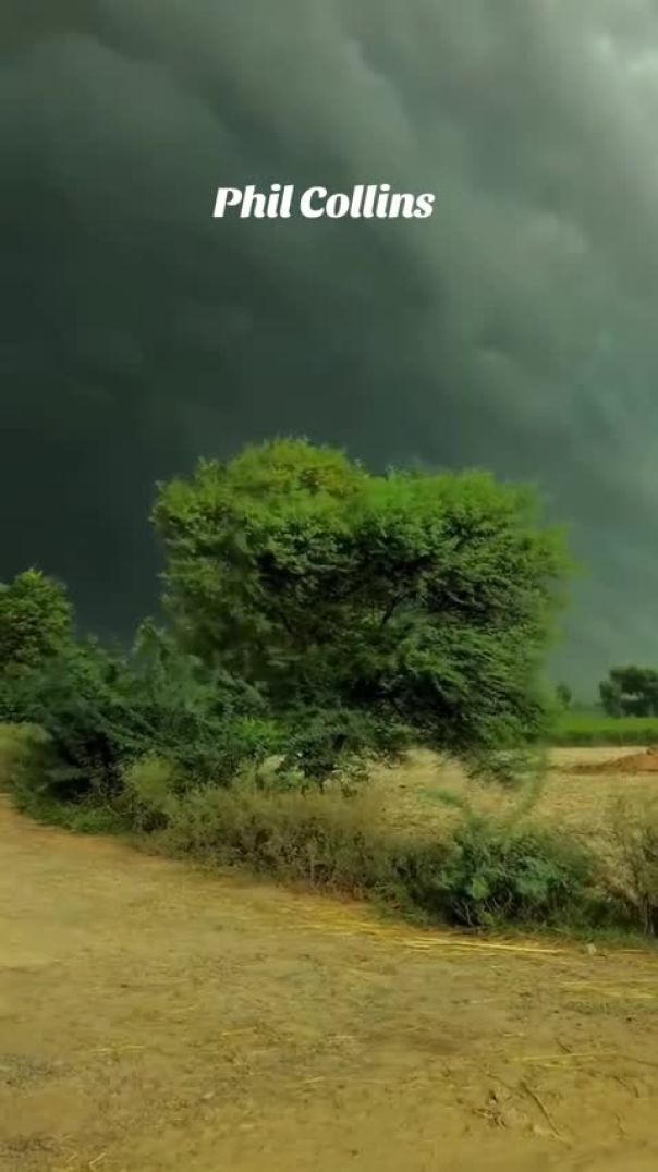 Belle chanson  phil collins