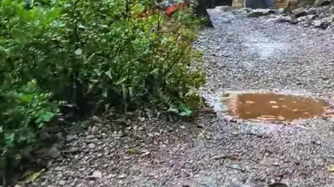 كبرنا ولم نعد نهتم بأي شيئ🥲