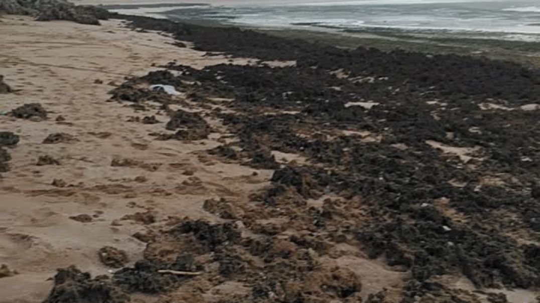 جمال البحر مدينة OUALIDIA