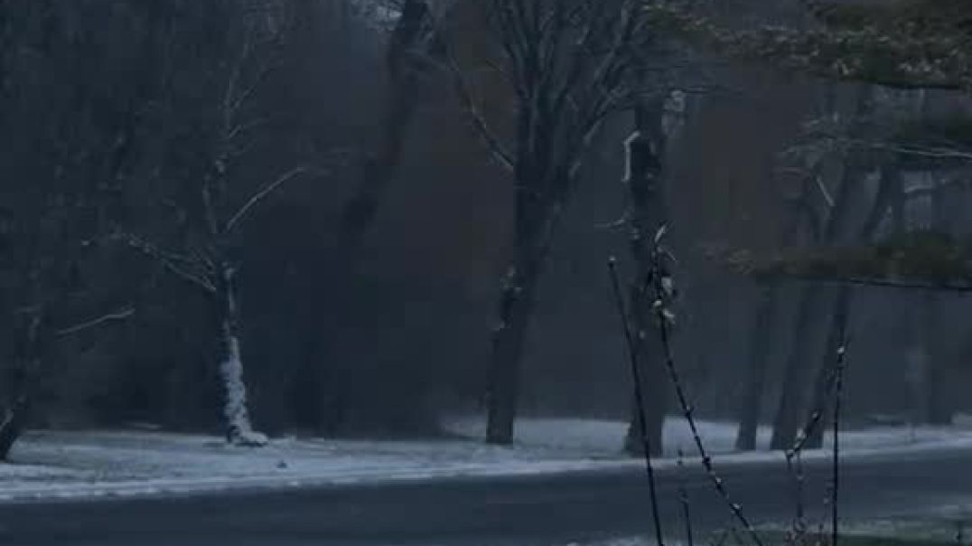 برودة المشاعر والاحساس