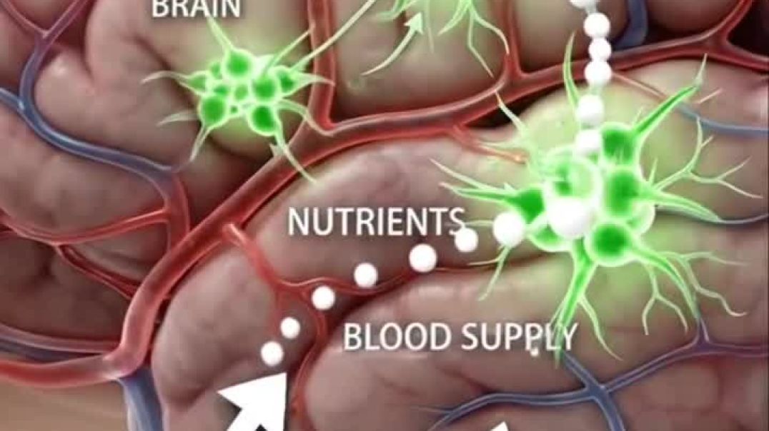 ⁣فوائد اكل البيض