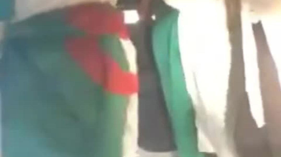 جزائريات يحتفلون بفوز منتخبهم