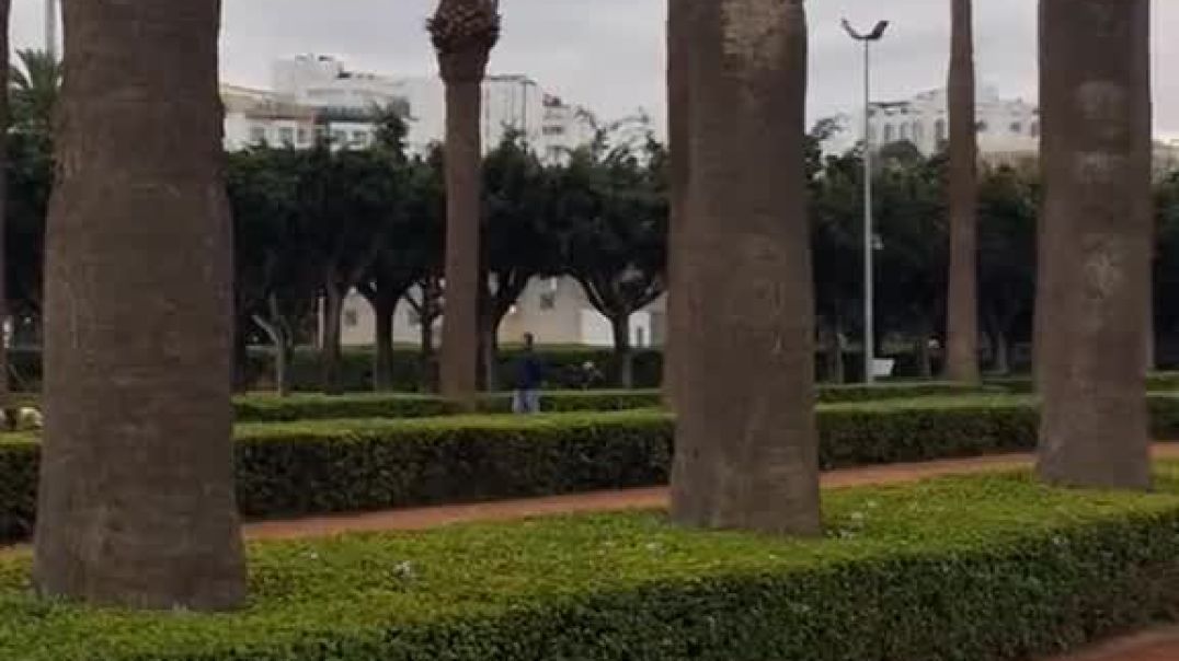 المغاربة حتا منين تيدابزو تيدعيو مع الخصم 😅😅