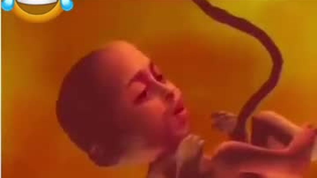 جيل 2026 🤣🤣🤣🤣🤣