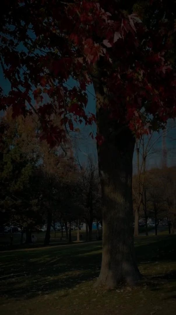 مختصر الحياة