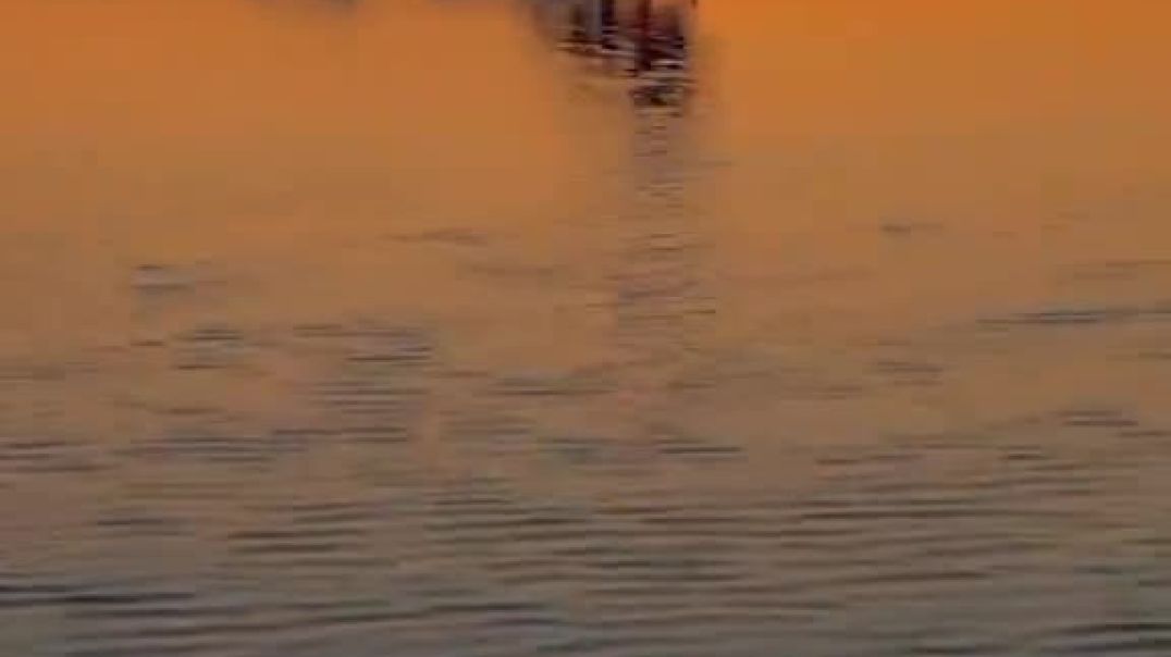 ⁣عود تاني عود