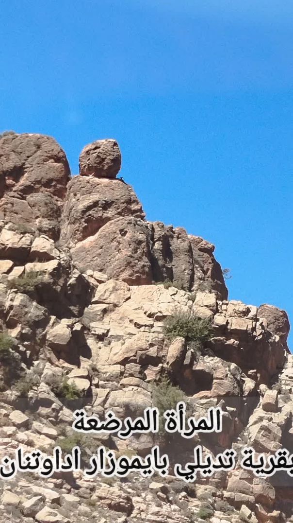 FB_VID_8600570751337399789