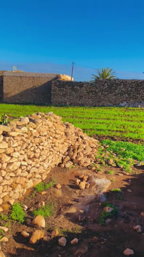 المغاربة 🇲🇦 عالااااام 😂😂